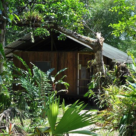 Hakuna Matata Amazon Lodge Archidona Exterior photo