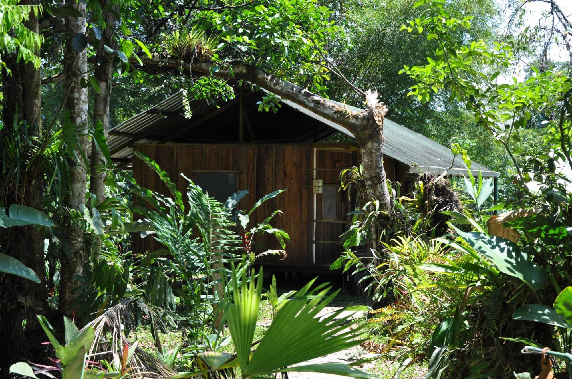 Hakuna Matata Amazon Lodge Archidona Exterior photo