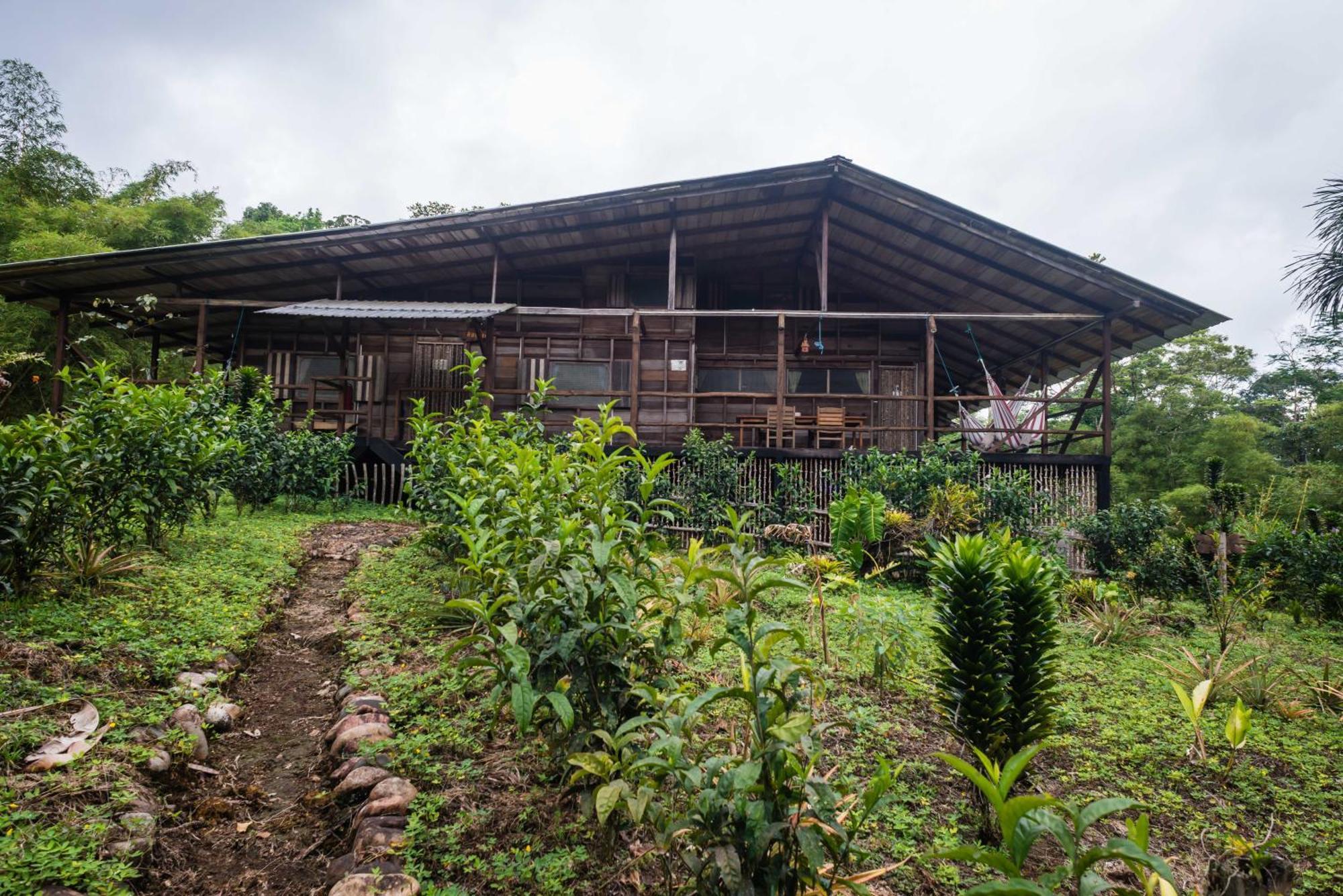 Hakuna Matata Amazon Lodge Archidona Room photo